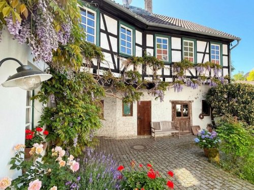 Hattersheim am Main Immo Besondere Immobilie - zwischen Zentrum und Idylle Haus kaufen
