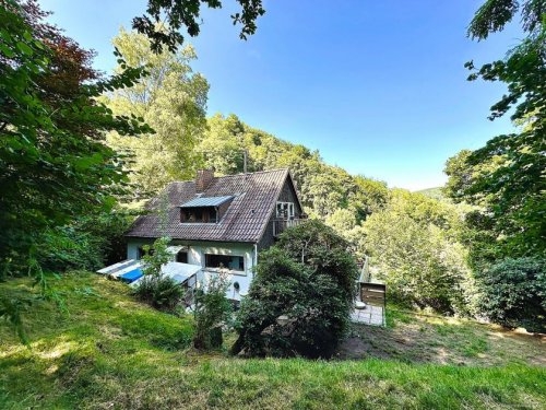 Saarbrücken Häuser Ein verwunschenes Haus im Grünen Haus kaufen