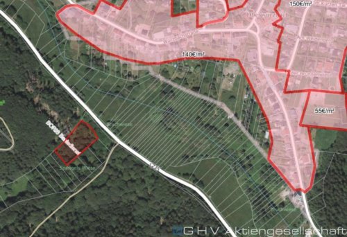 St. Wendel Grundstück Wald/Wiesengrundstück Oberwürzbach-Reichenbrunn gegen Höchstgebot Grundstück kaufen