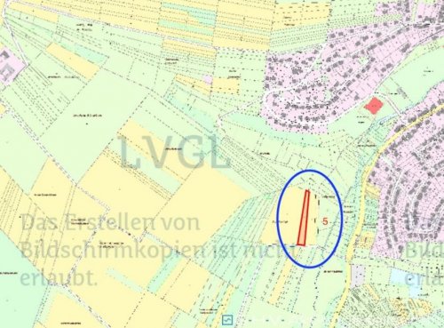Marpingen Grundstück-Angebot Landwirtschaftliches Grundstück gegen Höchstgebot Grundstück kaufen