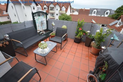 Haßloch Wohnungen RESERVIERT PROVISIONSFREI Haßloch TG Stellplatz ,Keller usw. Wohnung kaufen