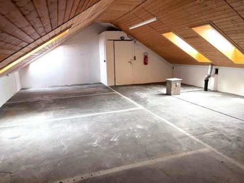 Mannheim Wohnungen Dachspeicher zum Ausbau in kleinem Parteienhaus - viel Potential & tolle Lage Wohnung kaufen