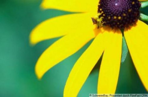 Landau Grundstück-Angebot Bauen Sie Ihr Traumhaus auf dieses Baugrundstück. Grundstück kaufen