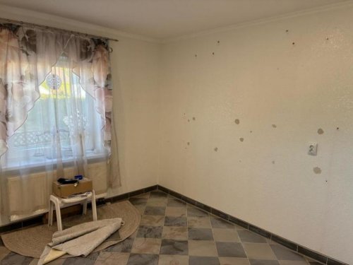 Bad Bergzabern Häuser ObjNr:19846 - Schönes, top gepflegtes und freistehendes Einfamilienhaus in guter Lage von Bad Bergzabern Haus kaufen
