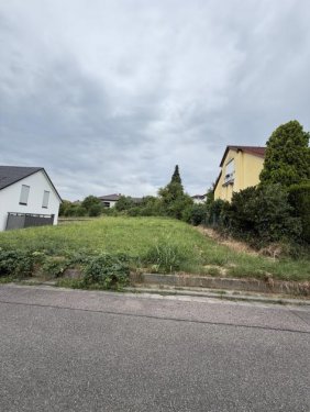 Schweigen-Rechtenbach Grundstück Baulücke in sonniger Lage und sehr gepflegter Wohnumgebung-inkl. Baugenehmigung Grundstück kaufen