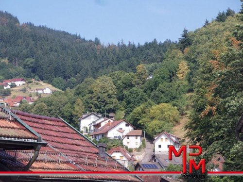 Bühlertal Gleich einziehen!Große moderne 3 Zimmer Whg mit Balkon und Tiefgarage auf 80qm Wfl Wohnung kaufen