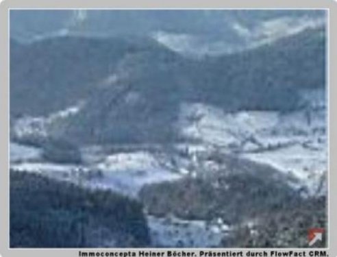 Seebach Immo Grosszügige Grundstücke im Schwarzwald Grundstück kaufen