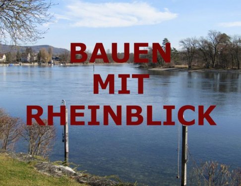 Büsingen am Hochrhein Immobilien **BAUPLATZ MIT RHEINBLICK IN BÜSINGEN** Grundstück kaufen