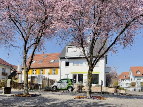 Bad Krozingen Immobilien Kapitalanlage oder Selbstnutzer (2 Wohnungen, Ferienwohnung und Büro) Haus kaufen