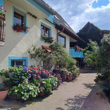 Herbolzheim Häuser Haus mit Seele sucht Menschen mit Herz Haus kaufen