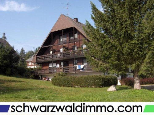 Bernau im Schwarzwald Wohnen auf Zeit Mitten in der Natur! Komplett möblierte 1-Zimmerwohnung mit Balkon Wohnung kaufen