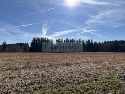 Oberhaching Grundstück Spekulations-Bauerwartungs- Grundstück - aktuell ist es landwirtschaftlich genutzt Grundstück kaufen
