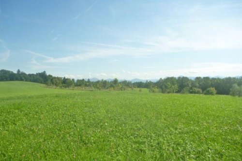 Weilheim in Oberbayern Immobilien Inserate Süd-SüdWest von Weilheim in traumhafter Lage mit Blick in die Alpen Grundstück kaufen