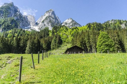 Bad Reichenhall Teure Häuser Investment in die Zukunft - Renditeobjekt - Neubau - verpachtet - im Umland von Salzburg Haus kaufen