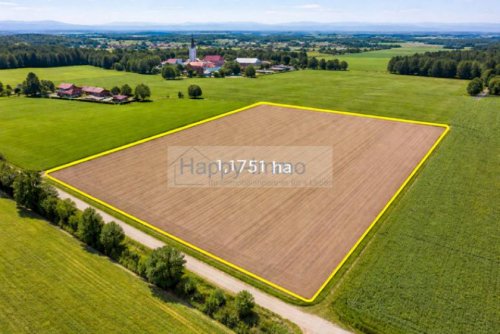 Aying Grundstücke landwirtschafte Fläche 1,1751 ha zu verkaufen Grundstück kaufen