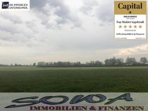 Königsmoos Immobilien Großzügige Landwirtschaftsfläche oder Ausgleichsfläche in Königsmoos - Ein Objekt von SOWA Immobilien & Finanzen Ihrem