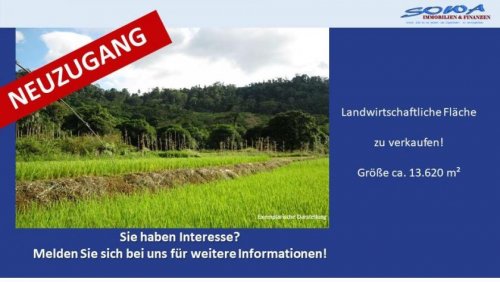 Königsmoos Grundstück-Angebot Großzügige Landwirtschaftsfläche in Untermaxfeld - Ein Objekt von SOWA Immobilien & Finanzen Ihrem Immobilienprofi vor
