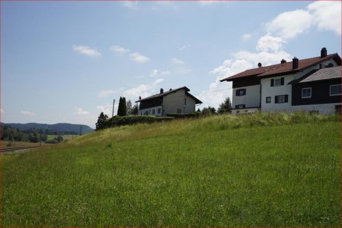 Hopferau Immobilien Baugrundstück mit toller Weitsicht! Grundstück kaufen
