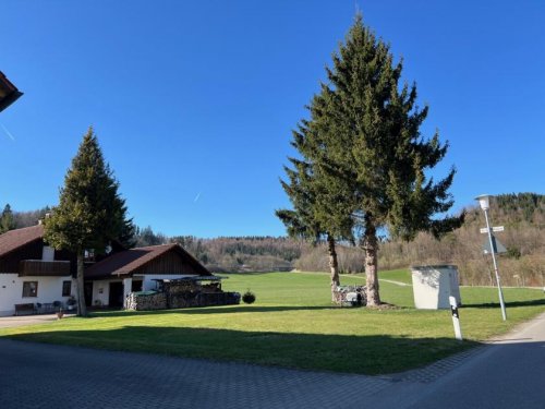 Aichstetten Immobilien Logenplatz zur Natur Grundstück kaufen