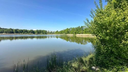 Attenweiler Gewerbe Immobilien Pferdehaltung? Bauernhaus mit Scheune, Nebengebäuden und viel Land zu verkaufen! Gewerbe kaufen