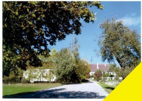 Dischingen Immobilien Teilverkauf der Schloßanlage 89561 Dischingen- Eglingen im Landkreis Heidenheim/Ostalb Haus kaufen