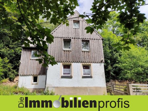 Schwarzenbach am Wald 1109 - Feriendomizil: Charmantes Einfamilienhaus im Frankenwald Haus kaufen