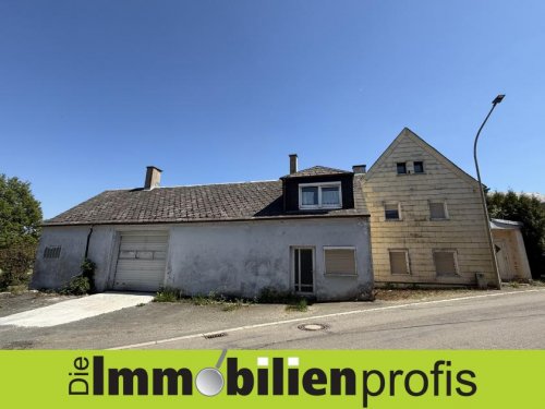 Konradsreuth 1358 - Bei Konradsreuth: Haus mit Lagerhalle und Werkstatt Haus kaufen