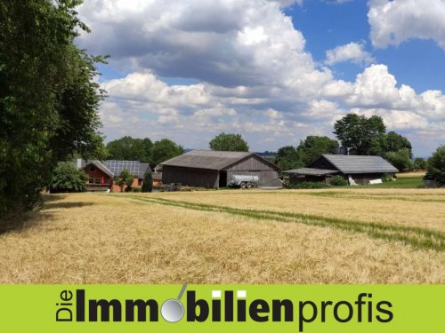 Konradsreuth Immo Nähe Hof: 1-2 Fam.Haus mit Scheune, Halle, Stall und Werkstatt Haus kaufen