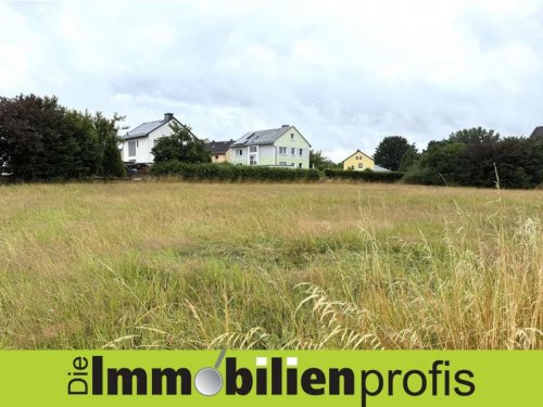 Sparneck Immobilien Baugrundstück in Sparneck i. Fichtelgebirge Grundstück kaufen