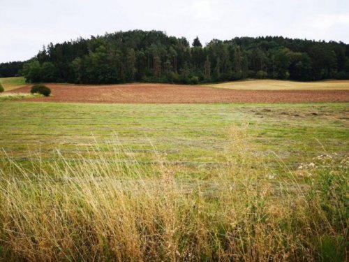 Grub am Forst Grundstücke 370.000,- für 8.250 qm GEWERBE Grundstück mit schneller Anbindung nach COBURG an der SS 303 / A 73 Grundstück kaufen