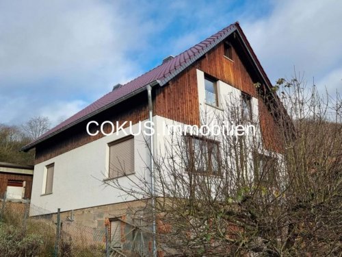 Trusetal Inserate von Häusern Einfamilienhaus + mit Terrassen Garten und Garage Haus kaufen