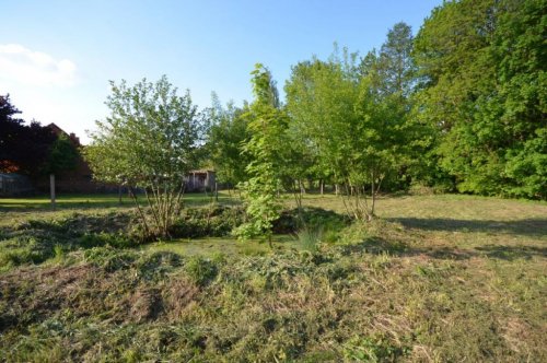 Oberweid Grundstück Preisreduziert: Idyllisches Grundstück mit kleinem Altbau am Bachlauf Grundstück kaufen