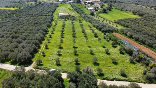 Bad Krozingen Kreta, Sivas Landwirtschaftliche Fläche 10.808m² mit Lagerhaus Grundstück kaufen