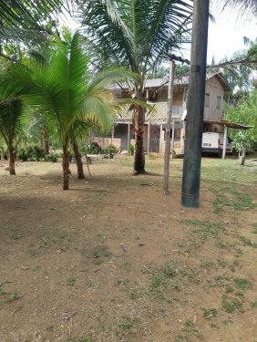  Inserate an Grundstücken Brasilien 50 Ha Tiefpreis-Grundstück bei Presidente Figueiredo AM Grundstück kaufen
