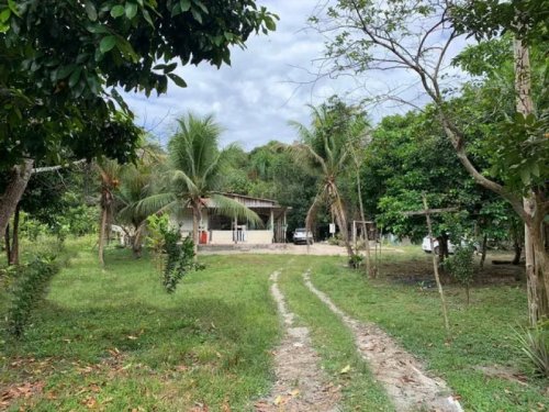  Immobilien Brasilien 50 Ha Tiefpreis-Grundstück - Bauernhof bei Presidente Figueiredo AM Grundstück kaufen