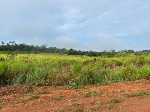  Brasilien 94.0251 Ha grosses Grundstück Grundstück kaufen