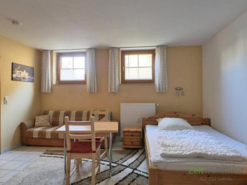 Dresden Wohnungen im Erdgeschoss (EF1385_M) Dresden: Mickten, möbliertes Apartment im Hinterhaus mit separatem Hauseingang, an Wochenendheimfahrer Wohnung