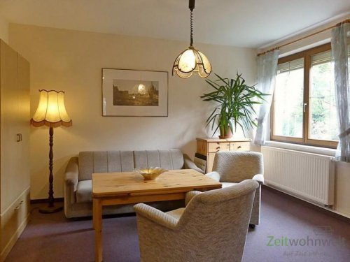 Dresden 1-Zimmer Wohnung (EF0584_M) Dresden: Blasewitz, möblierte 1,5-Zimmer Wohnung zwischen Waldpark und Elbe Wohnung mieten