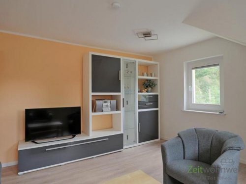 Dresden Immobilien (EF1058_M) Dresden: Loschwitz/Wachwitz, Neu sanierte und neu möblierte Wohnung, Service möglich Wohnung mieten