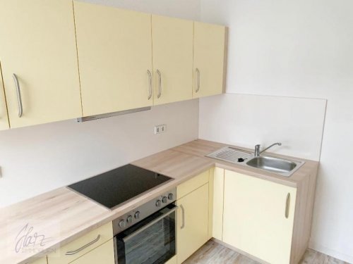 Riesa Provisionsfreie Immobilien ***2-RAUMWOHNUNG MIT EINBAUKÜCHE*** ab sofort zu vermieten Wohnung mieten