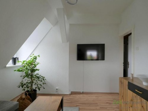 Halle (Saale) 1-Zimmer Wohnung (EF1166_M) Halle: Frohe Zukunft, preiswerte möblierte Wohnung in ruhiger, grüner Wohnlage, Service inkl Wohnung mieten