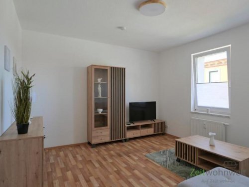 Halle (Saale) Provisionsfreie Immobilien (EF1220_M) Halle: Trotha, Erstbezug in neu möblierte 3-Zimmer-Wohnung, Garten am Haus, Waschmaschine Wohnung mieten