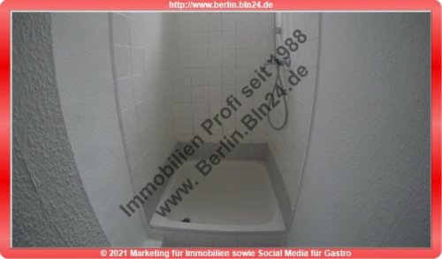 Halle (Saale) Suche Immobilie 3er WG oder 2er WG - Pärchen - saniert - Duschbad mit Fenster Wohnung mieten