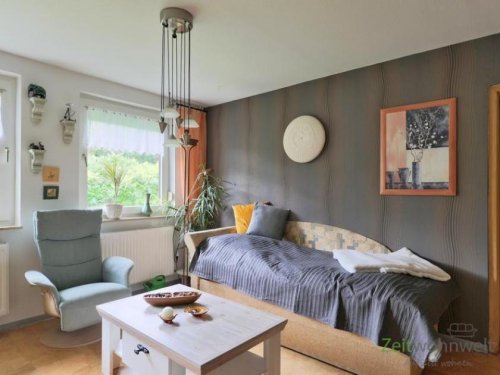 Zedlitz Provisionsfreie Immobilien (EF1363_M) Gera: Zedlitz, preiswertes möbliertes Apartment mit PKW-Stellplatz und Service Wohnung mieten