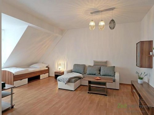 Ronneburg Wohnungen (EF0705_M) Gera: Ronneburg, großzügiges, möbliertes Apartment in der Innenstadt, Waschmaschine und WLAN inklusive Wohnung