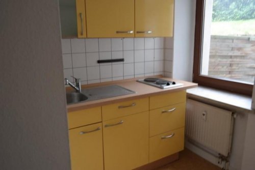 Reichenbach im Vogtland Immobilien * Günstige 1-Zimmer mit Einbauküche, Laminat und Dusche * Wohnung mieten