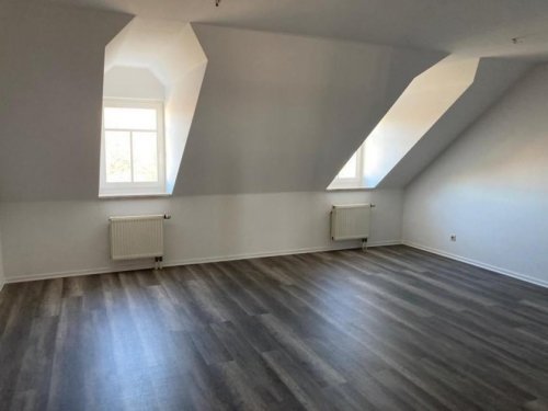 Chemnitz Immo Am Park! Günstige DG 2-Zi. mit Aufzug, Laminat, Abstellraum und Dusche! EBK gegen Aufpreis mgl Wohnung mieten