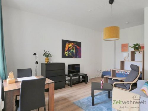 Chemnitz Günstige Wohnungen (EF1324_M) Chemnitz: Hilbersdorf, möbliertes Apartment mit überdachtem Balkon auf der Gartenseite Wohnung mieten