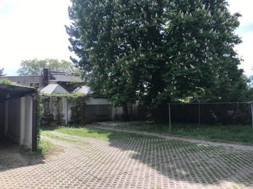 Chemnitz Immobilien Gemütliche 1-Zimmer mit Laminat und offener Küche in ruhiger Lage!!! Wohnung mieten