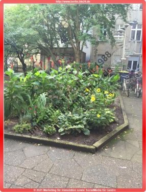 Berlin Wohnungsanzeigen Mietwohnung 2 Zimmer, Wohnzimmer mit Balkon Südseite Wohnung mieten